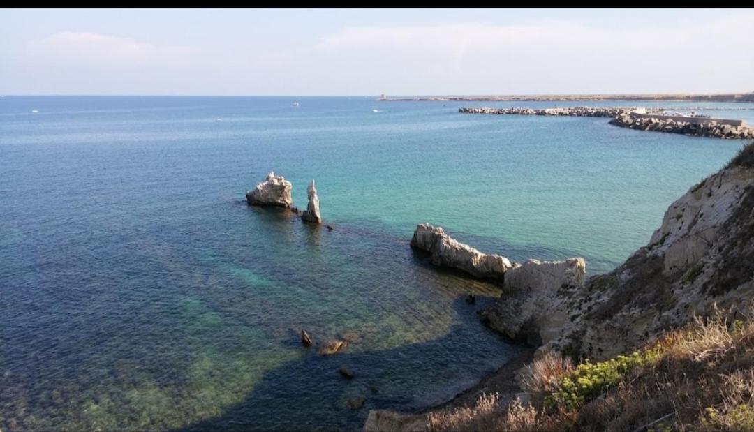 A Casa Di Loretta Daire Terrasini Dış mekan fotoğraf